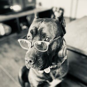 Meet your Posher, Ramzez